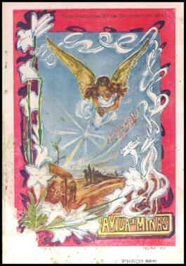 Revista Vida de Minas n.10