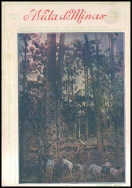 Revista Vida de Minas n.04